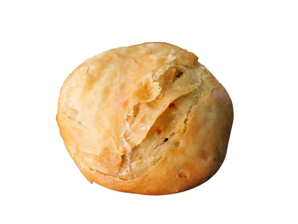 Khasta Chicken Kachori